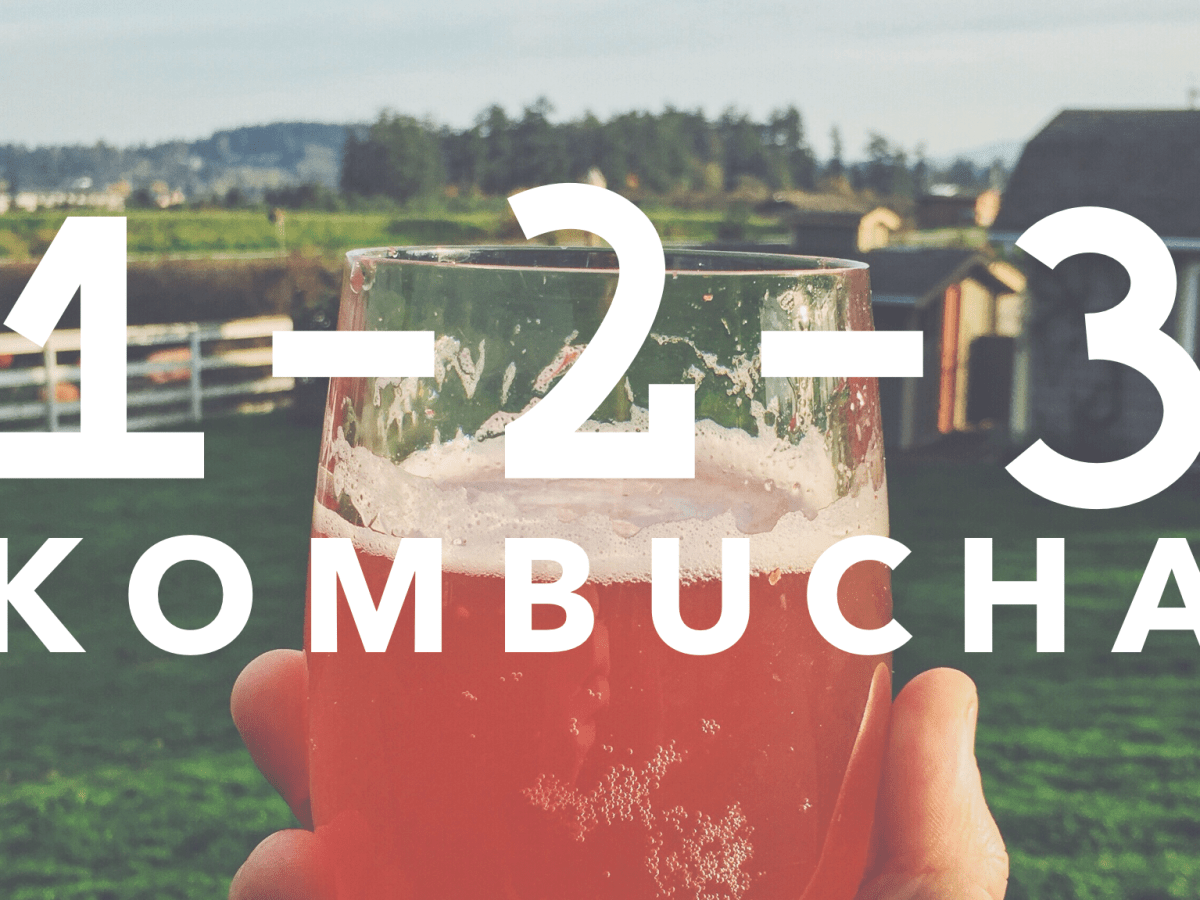 Kombucha Recipe