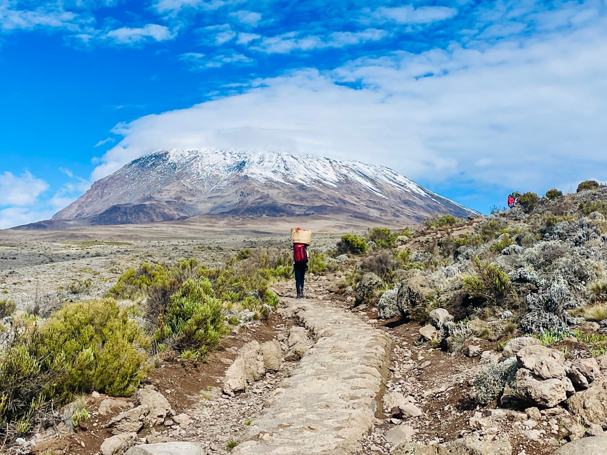 An Ascent Above the Clouds: A Journey to the Kilimanjaro&nbsp;Summit